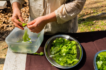 natural and organic salad products, ready to eat