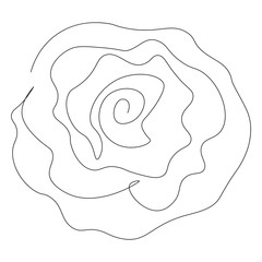 Rose isolated on white background. Continuous line drawing. Vector illustration