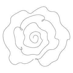 Rose isolated on white background, continuous line drawing. Vector illustration