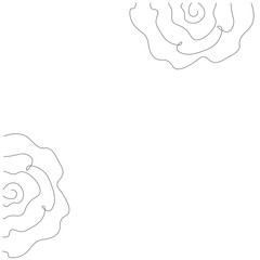Roses background with summer on white background. Continuous line drawing. Vector illustration