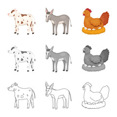Vector illustration of breeding and kitchen  sign. Collection of breeding and organic  stock symbol for web.