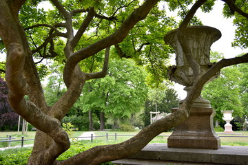 Park mit geschwungenem alten Baum und Statue