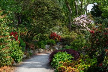 Fototapeta na wymiar Beautiful Garden with blooming trees during spring time, Wales, UK