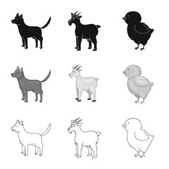 Vector design of breeding and kitchen  sign. Set of breeding and organic  vector icon for stock.