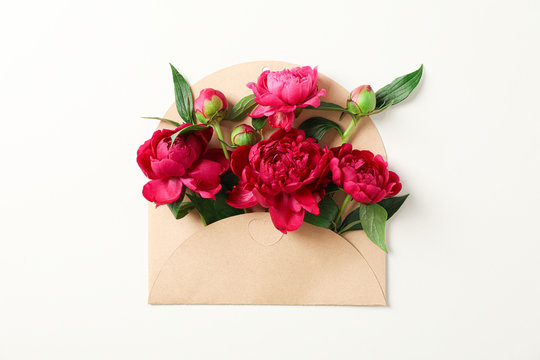 Beautiful peony flowers in envelope on white background, space for text