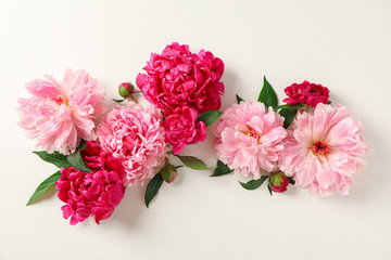 Flat lay composition with beautiful peonies on white background, space for text and top view