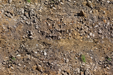 earth texture, top view, grass grows