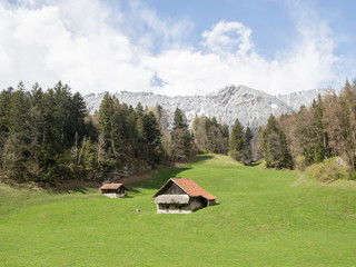 Fototapeta na wymiar Landscape in Switzerland near Luzern