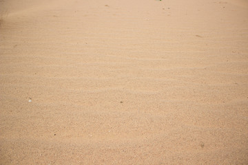 dune sand from desert simple background wallpaper pattern wavy surface photography with empty space for some copy or text 