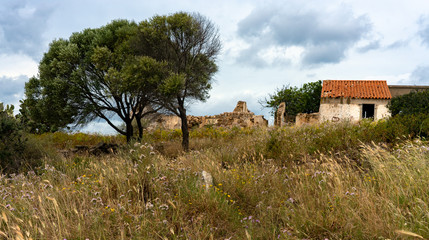 Obraz premium Feld und Acker