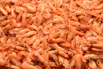 Tasty fresh shrimps as background.