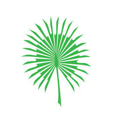 Vector tropical  leaves on white background. Quality watercolor imitation. Not trace. - Vector