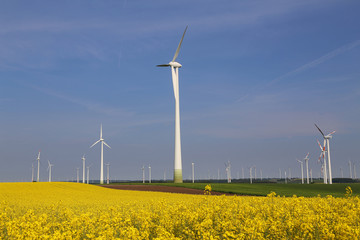 Wind engines in a rapeseed field in Germany