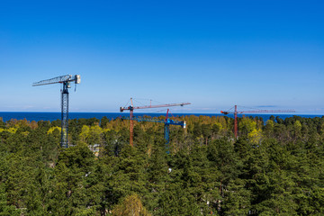 endless forests in summer dayat countryside from above