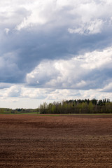 cultivated fields in countryside with dark and wet soil for agriculture.