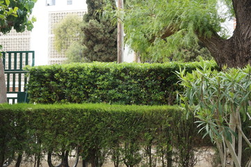 multilevel clipped fence