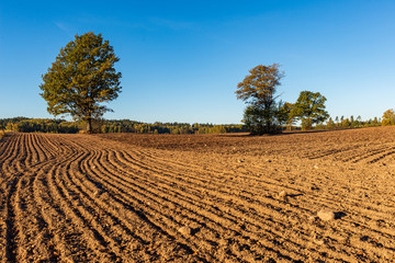 cultivated fields in countryside with dark and wet soil for agriculture.