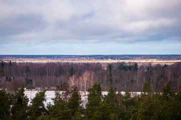 endless forests in summer dayat countryside from above