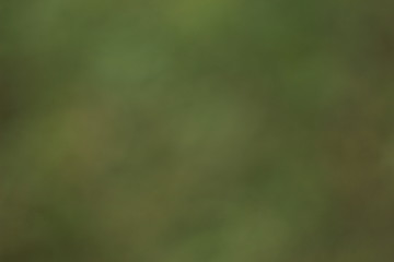 Natural  Blurred Background. Green; yellow; brown