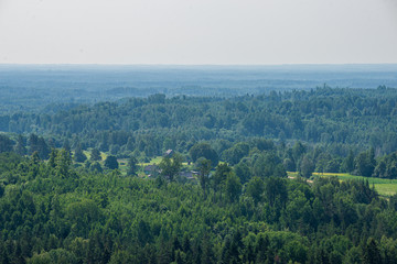 Naklejka premium endless fields and forests with green trees under fog in countryside