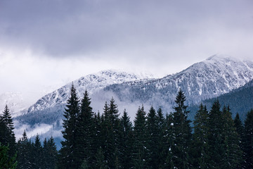 slovakia tatra mountain tourist hiking trails under snow in winter time