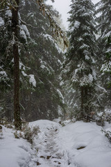 slovakia tatra mountain tourist hiking trails under snow in winter time