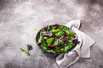 Mix of green salad leaves