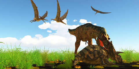 Albertosaurus attacks Albertaceratops - With a vicious neck bite an Albertosaurus attacks Albertaceratops to disable the dinosaur as Pteranodons fly over like vultures.