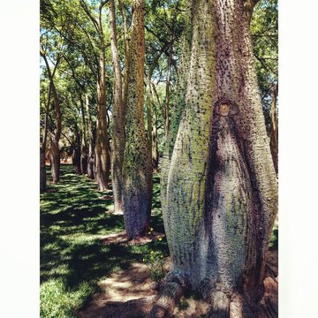 Mant&eacute;n tu amor hacia la naturaleza, porque es la verdadera forma de entender el arte. - Imagen.