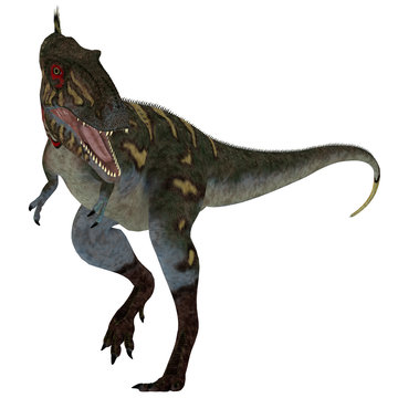 Nanotyrannus Dinosaur on White - Nanotyrannus was a carnivorous theropod dinosaur that lived in North America during the Cretaceous Period.