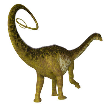 Nigersaurus Dinosaur Tail - Nigersaurus was a herbivorous sauropod dinosaur that lived in Niger, Africa during the Cretaceous Period. 