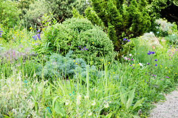 Beautiful botanical garden, natural green plants in spring 