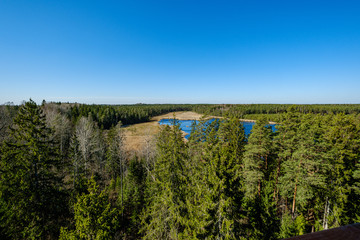 endless forests in summer dayat countryside from above