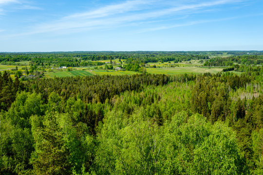 endless forests in summer dayat countryside from above © Martins Vanags