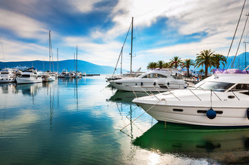 Luxury yachts in the sea port of Tivat, Montenegro. Kotor bay, Adriatic sea. Famous travel destination. - obrazy, fototapety, plakaty
