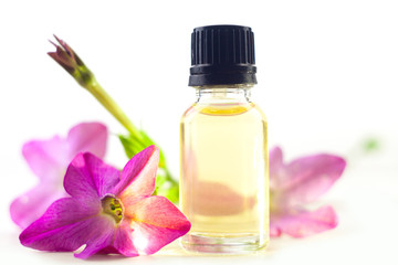 winged tobacco essential oil in  beautiful bottle on White background