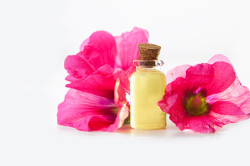 Obraz na płótnie Canvas mallow essential oil in beautiful bottle on White background