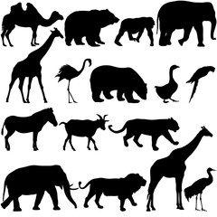 Silhouette elephant bear eagle trot duck zebra on a white background