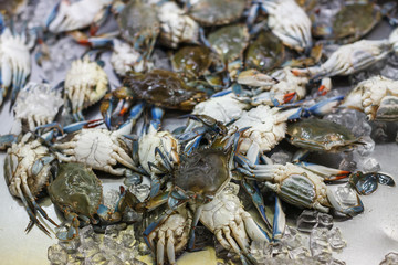 Fresh Caught Blue Crab At Market