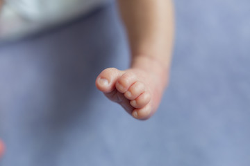 newborn child. baby legs. the legs of the newborn. legs on background. child's feet