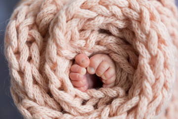 newborn child. baby legs. the legs of the newborn. legs on background. child's feet