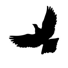 Concept of love or peace silhouettes doves