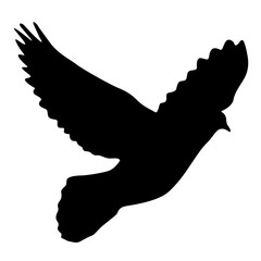 Concept of love or peace silhouettes doves