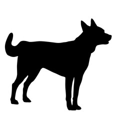 Shepherd dog silhouette on a white background
