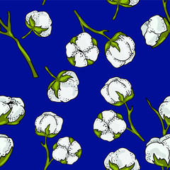 Seamless vector pattern with cotton flowers on blue background. Good for printing. Wallpaper and fabric design. Wrapping paper pattern.