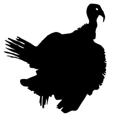 Silhouette black turkey on a white background