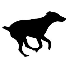Doberman pinscher dog silhouette on a white background