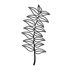 branch leaves foliage outline