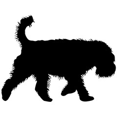 Airedale Terrier dog silhouette on a white background