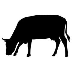 Black silhouette of cash cow on white background